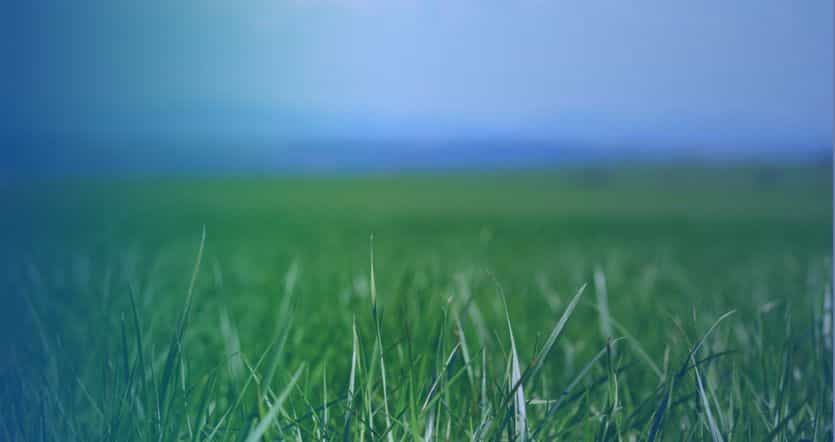 RICHI Решение для установки по производству гранул травы производительностью 1-100 т/ч
