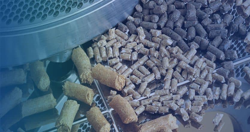 Why invest in broiler feed production business