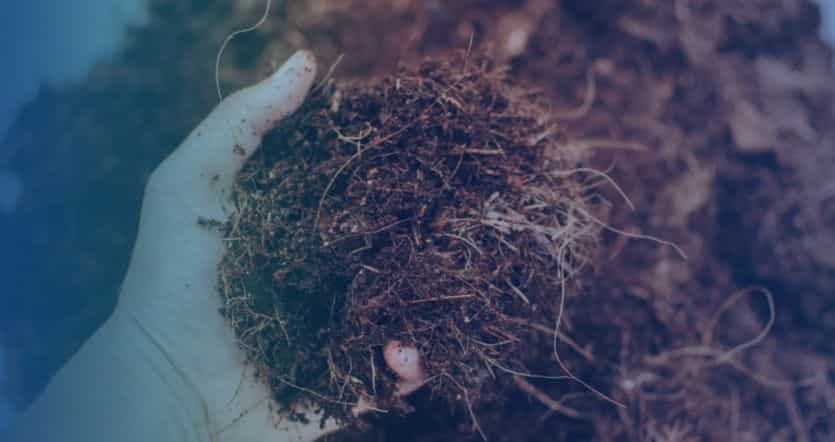 RICHI 1-60 tph coco peat pellet production solution