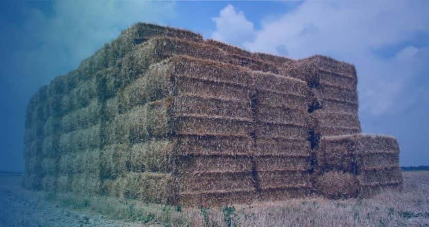 RICHI 1-90 ton per hour straw pellet plant solution