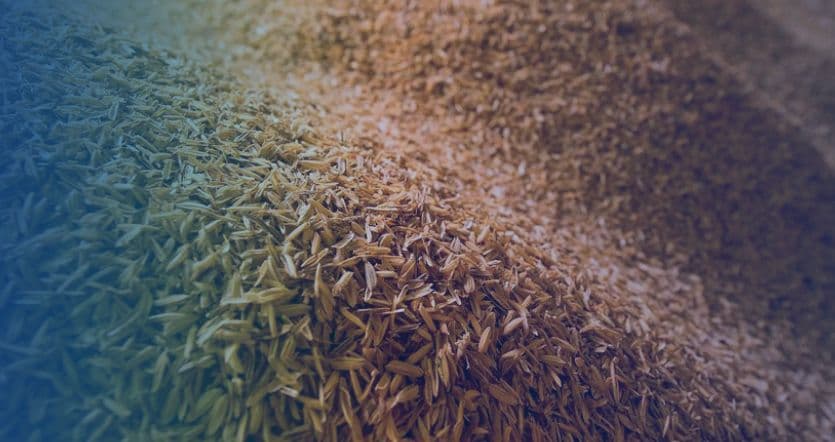 RICHI Решение для установки по производству пеллет из рисовой шелухи производительностью 1-90 т/ч