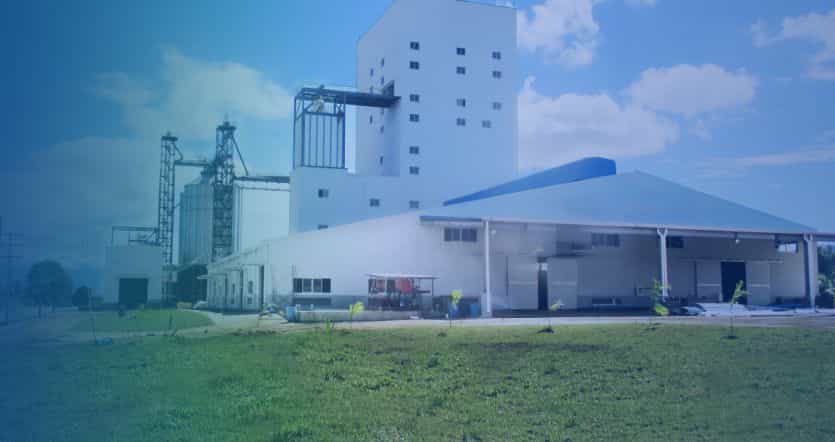 Advantages of livestock feed production line
