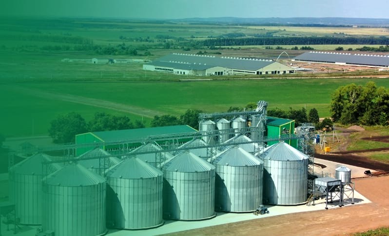 Why invest in cattle feed production business