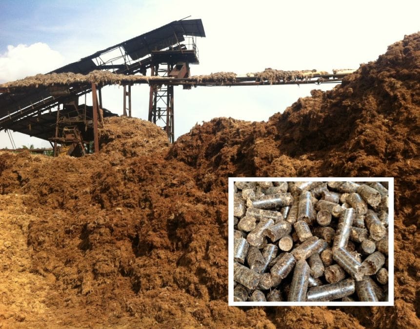 Завод по производству гранул биомассы хорошего качества производительностью 5 тонн в час для пальмовых отходов
