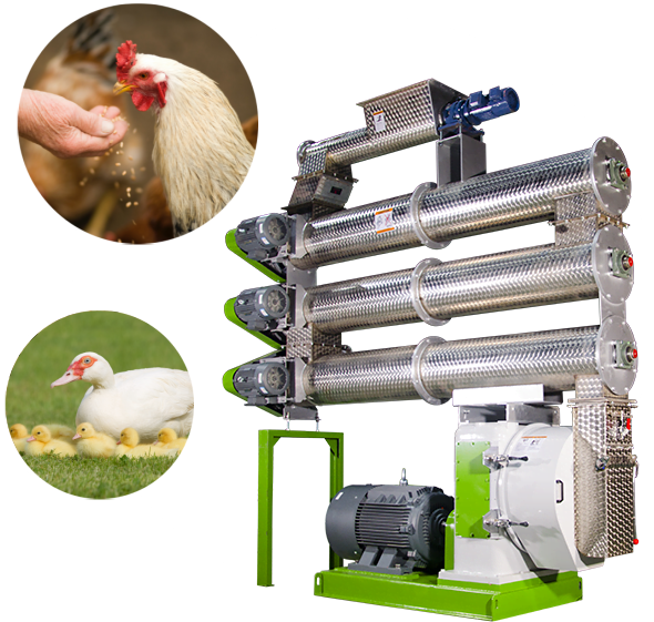 poultry pellet mill for poultry feed production line
