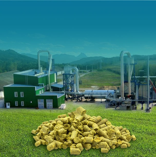 richi проекты по производству пеллет из биомассы в мире