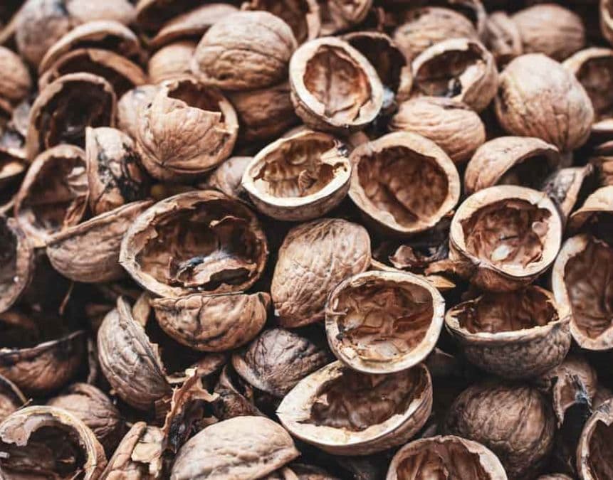 turning Walnut shells into pellets