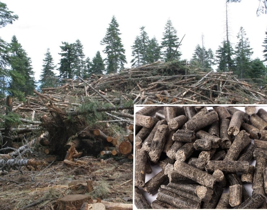 turning branches into pellets