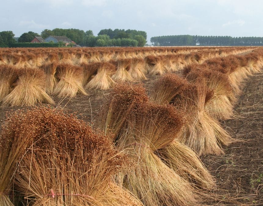 turning flax straw into pellets