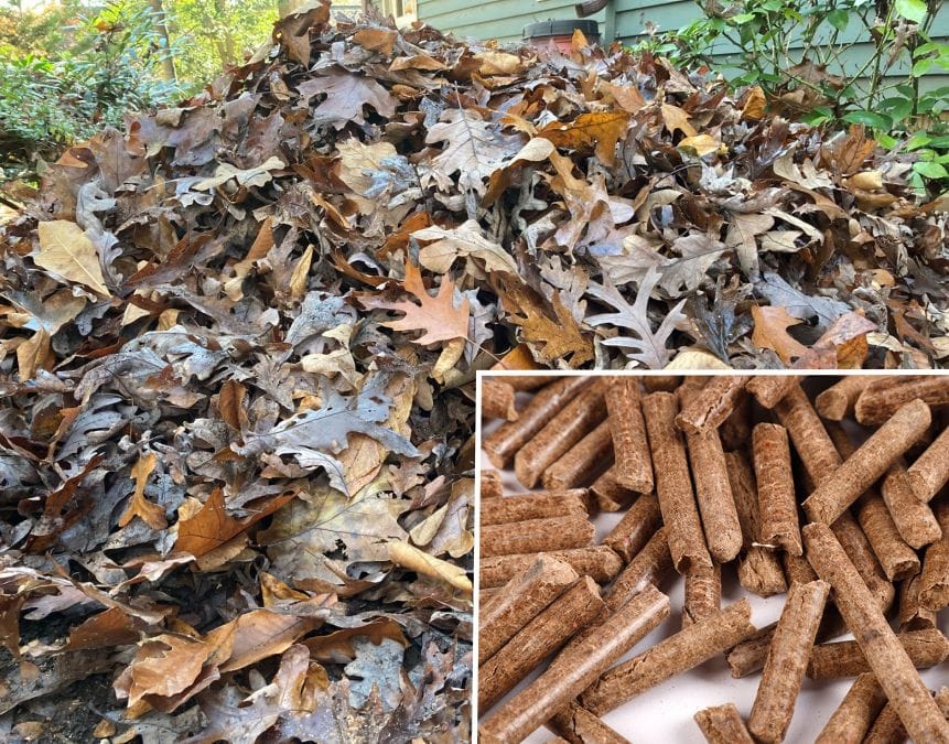 turning leaves into pellets