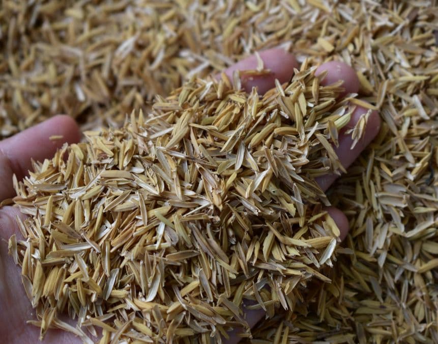 turning rice husk into pellets