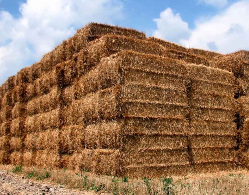 turning rice straw into pellets