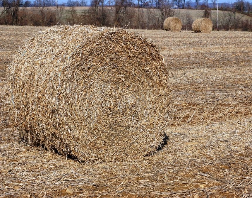 turning soybean straw into pellets