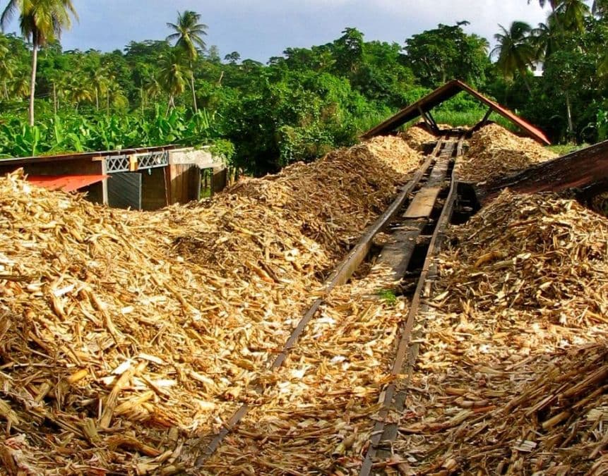 turning sugarcane bagasse into pellet