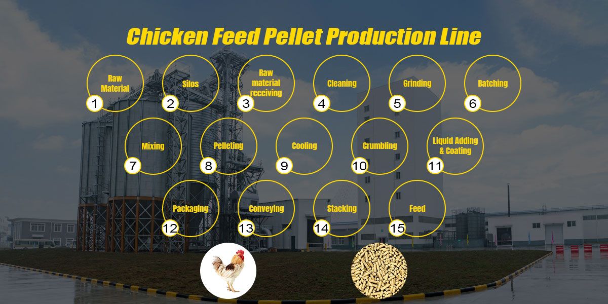 How to process broiler feed pellets