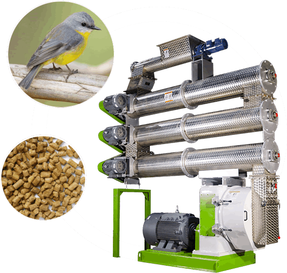 bird feed machine for sale