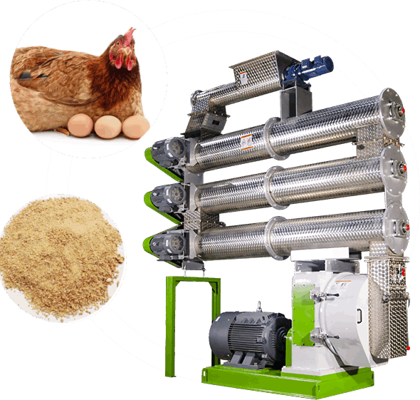hen feed Making machine for sale