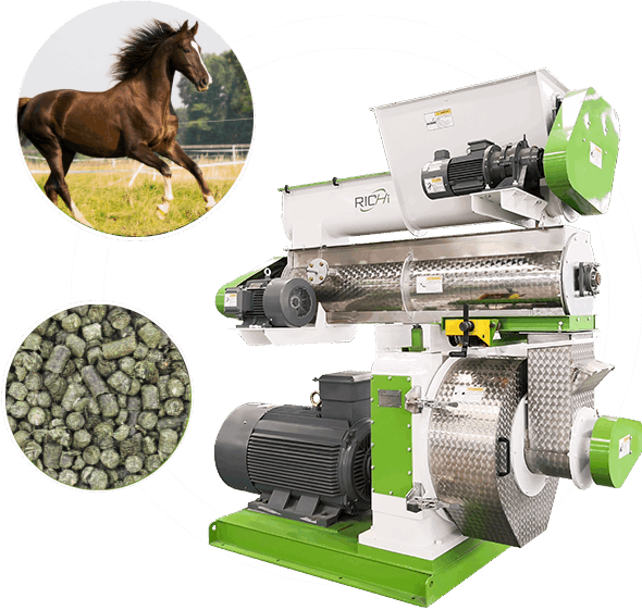 Start 1100T/H Horse Feed Mill For Whole Horse Life Stage RICHI