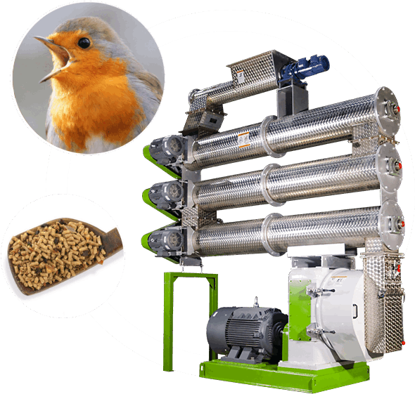 pellet machine for bird food factory