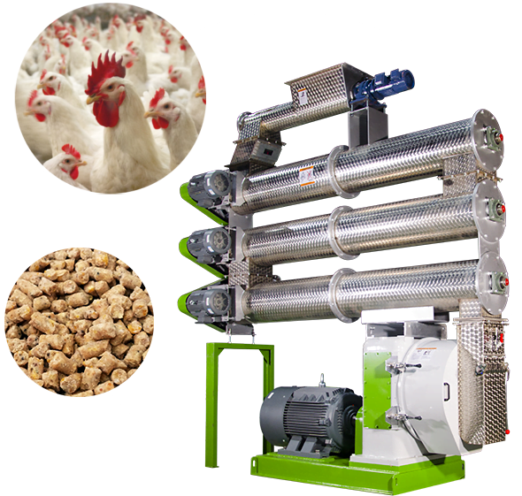 pellet machine for broiler feed mill