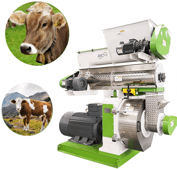pellet machine for cattle feed mill