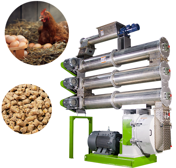 pellet machine for hen feed plant
