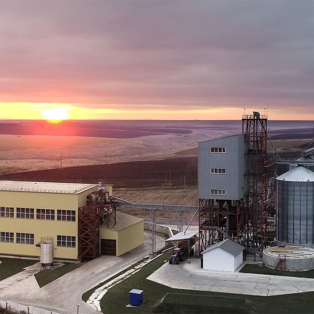 10tph concentrated feed processing project in New Zealand