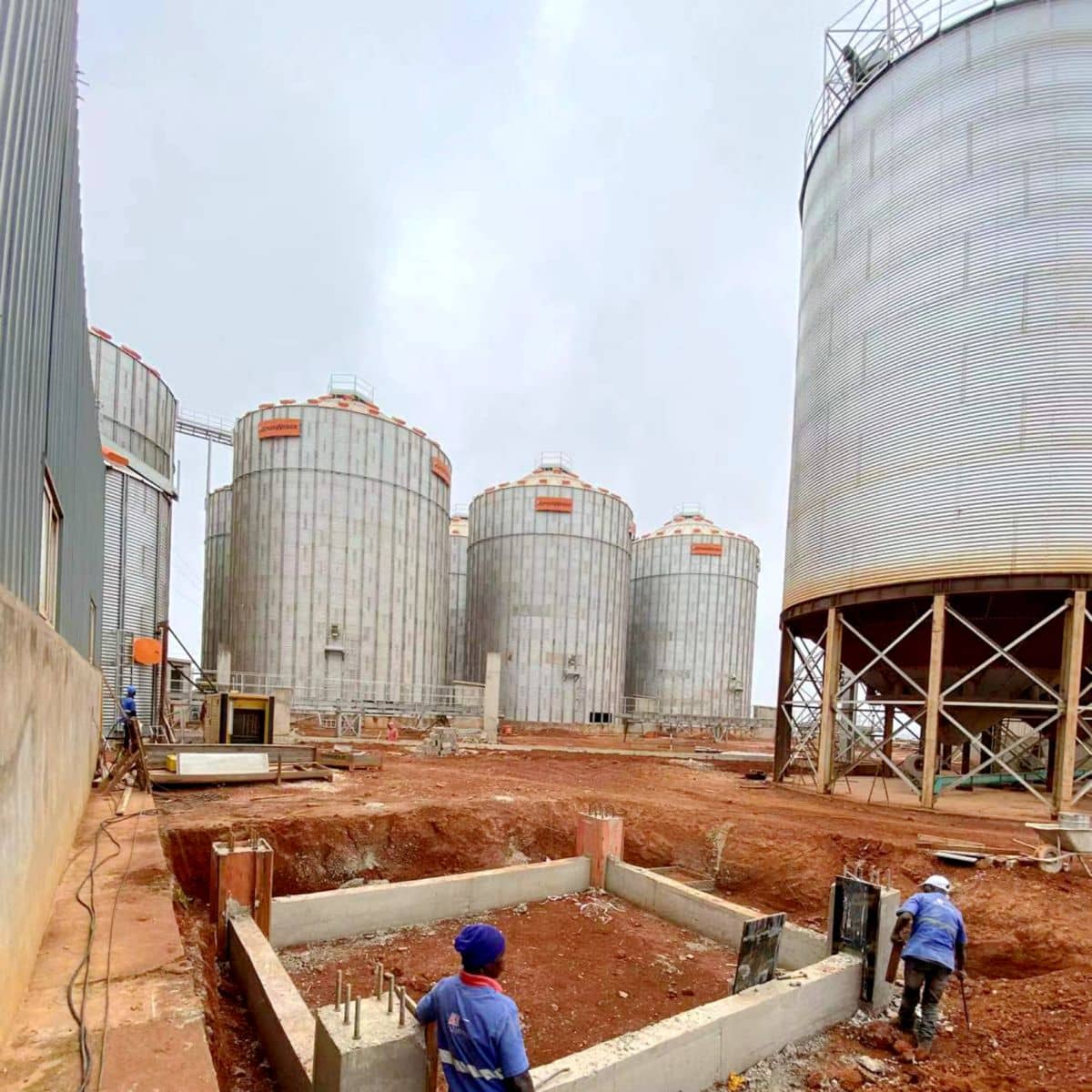 Brazil 20 T/H pig feed factory project