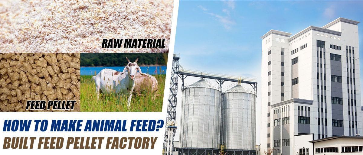 Complete Goat Feed Pellet Machine Line Process