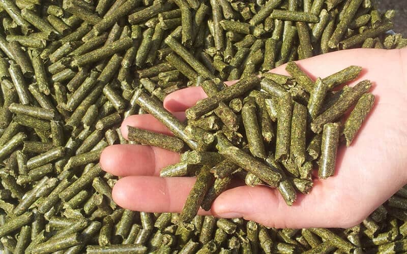 Specifications requirements of grass hay pellets
