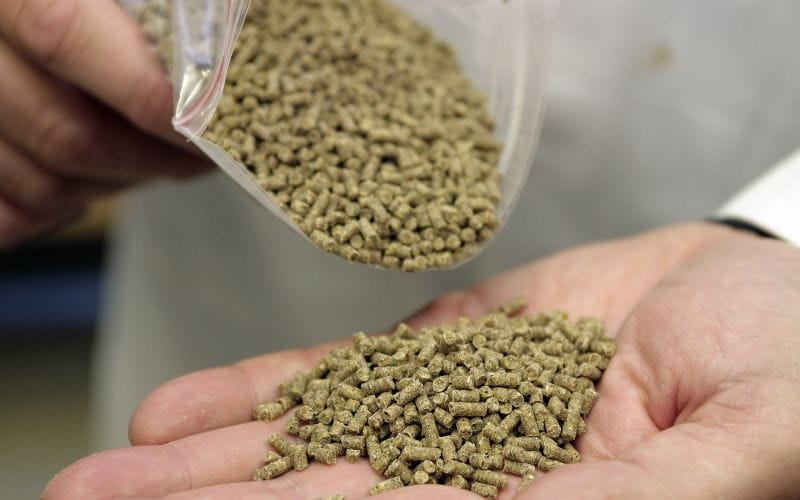 Specifications requirements of grass hay pellets
