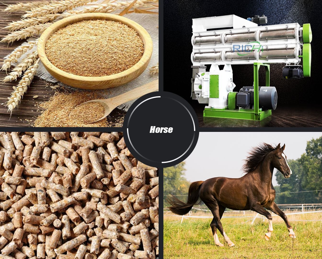 pellet machine for horse feed