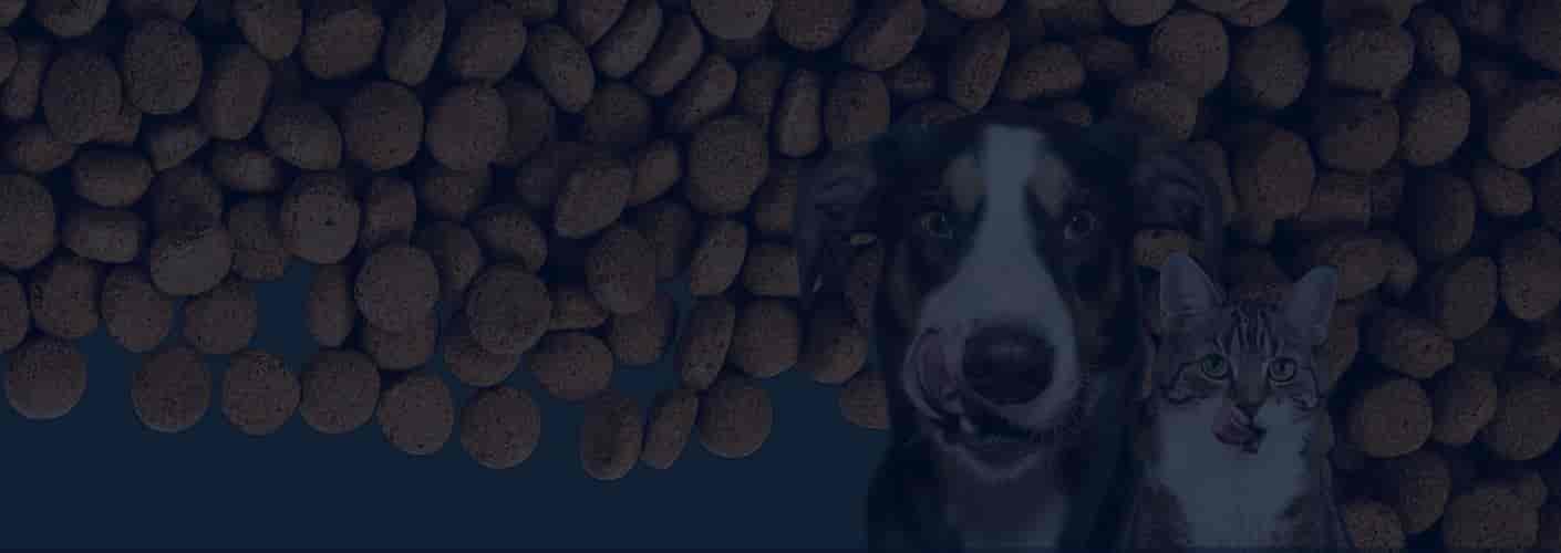 pet food-bg