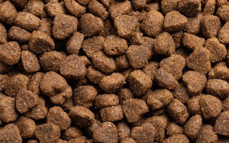 pet food
