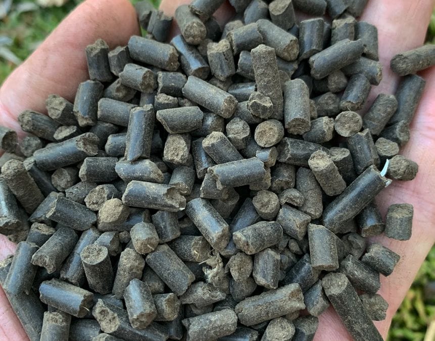 5-10tph Fertilizer pellet