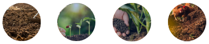 Organic Fertilizer