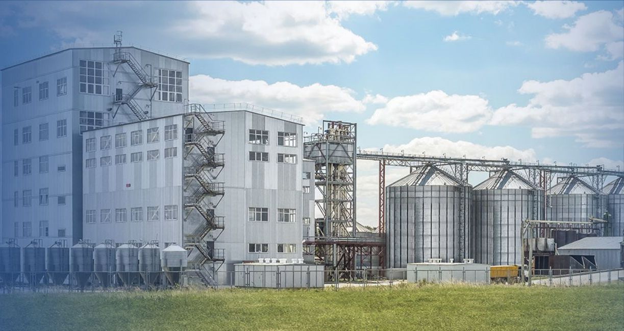Проект завода по производству кормов для скота производительностью 1-100 тонн в час