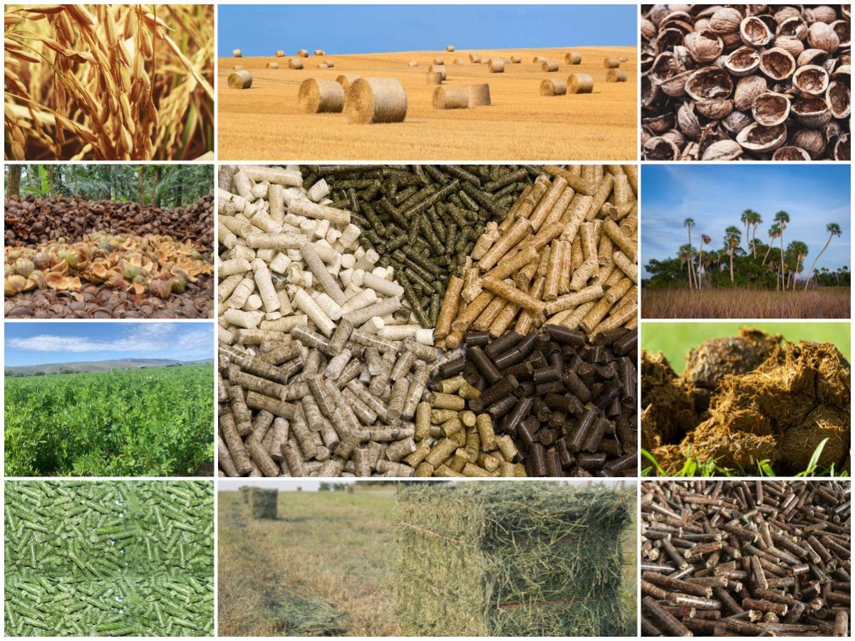 Types Of Agri Pellet