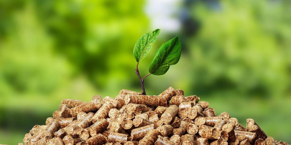 biomass pellets fuel