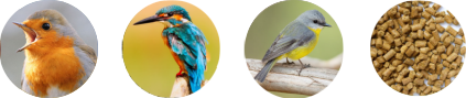 raw material for bird food factory