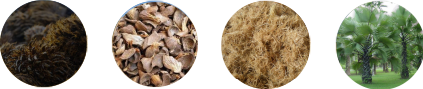 raw material for efb pellet plant