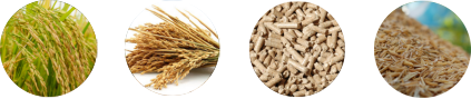 raw material for rice husk pellet plant