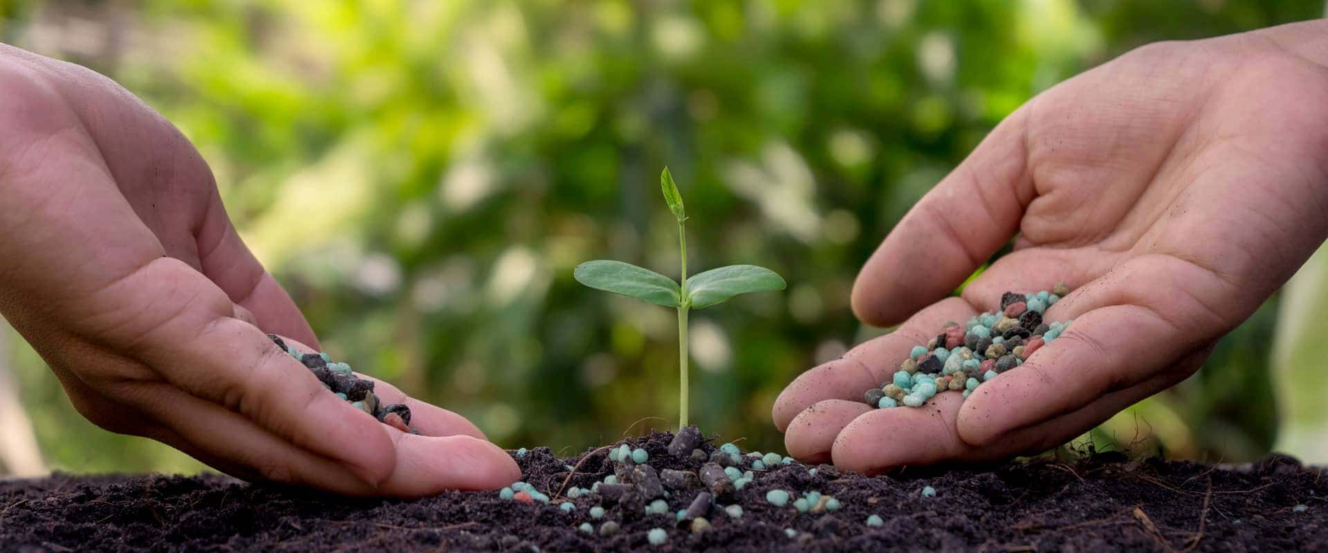Prospects and market analysis of organic fertilizers