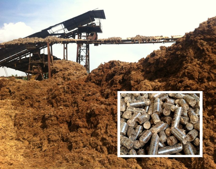 Application of EFB pellet machine
