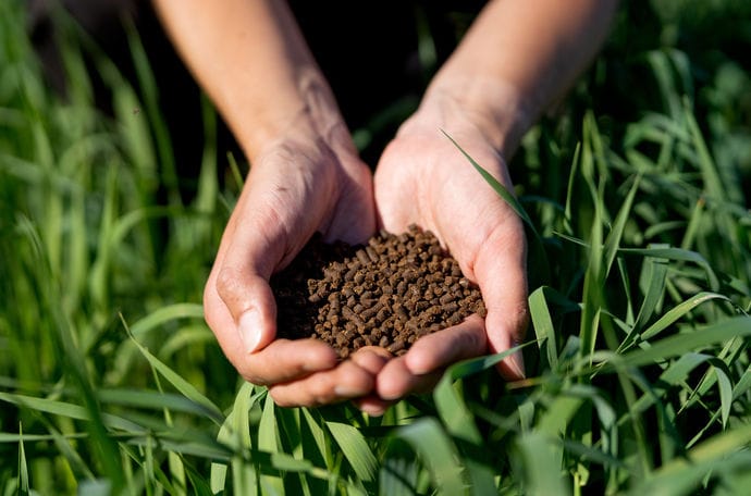 organic manure