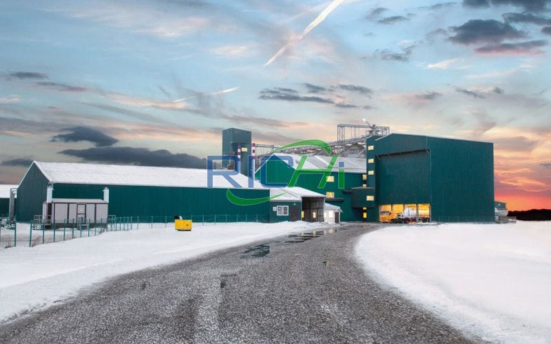 ring die feed pellet machine in Russia