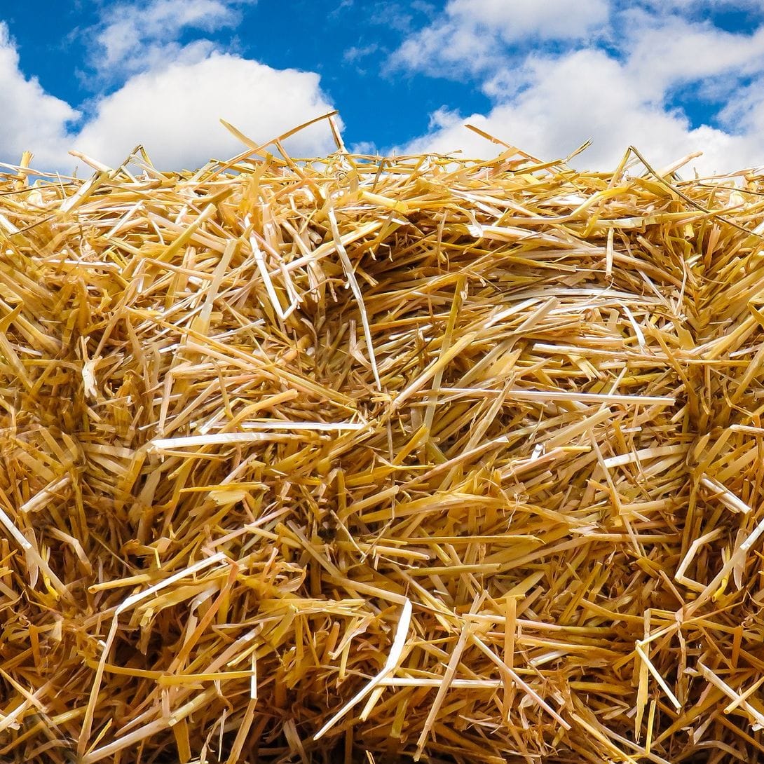Canada straw pellet production line goes into operation