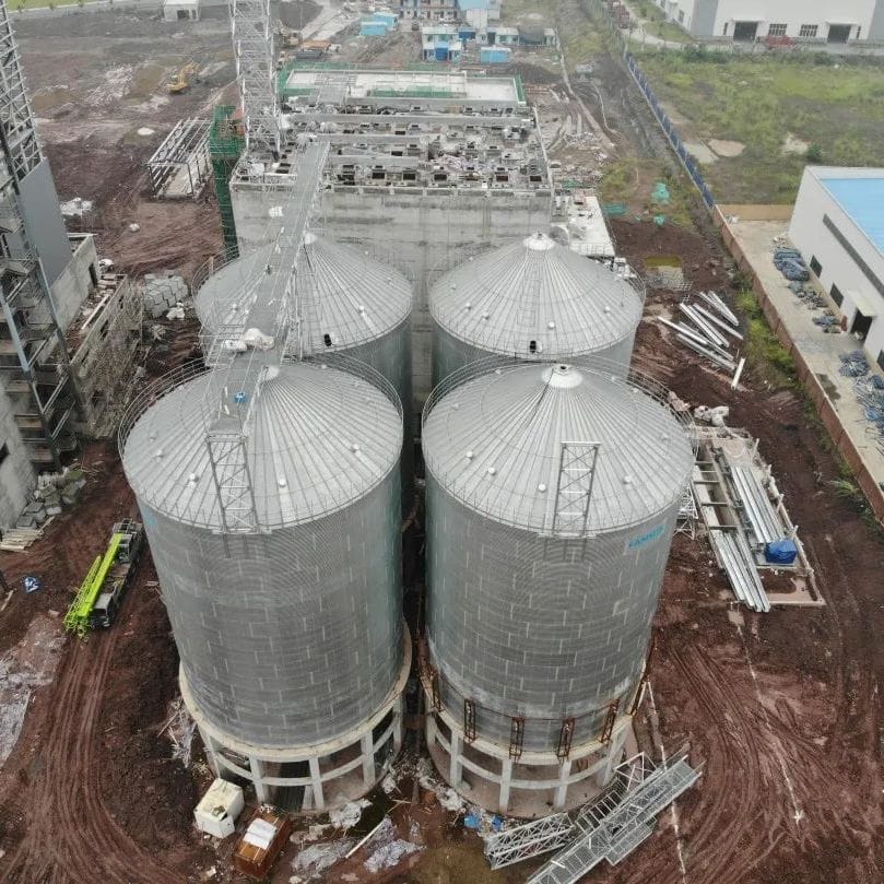 Construction of 20-30tph feed processing project in Kazakhstan started