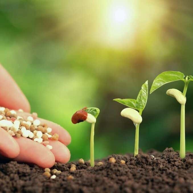 High-efficiency functional nutrition biological organic fertilizer project settled in New Zealand