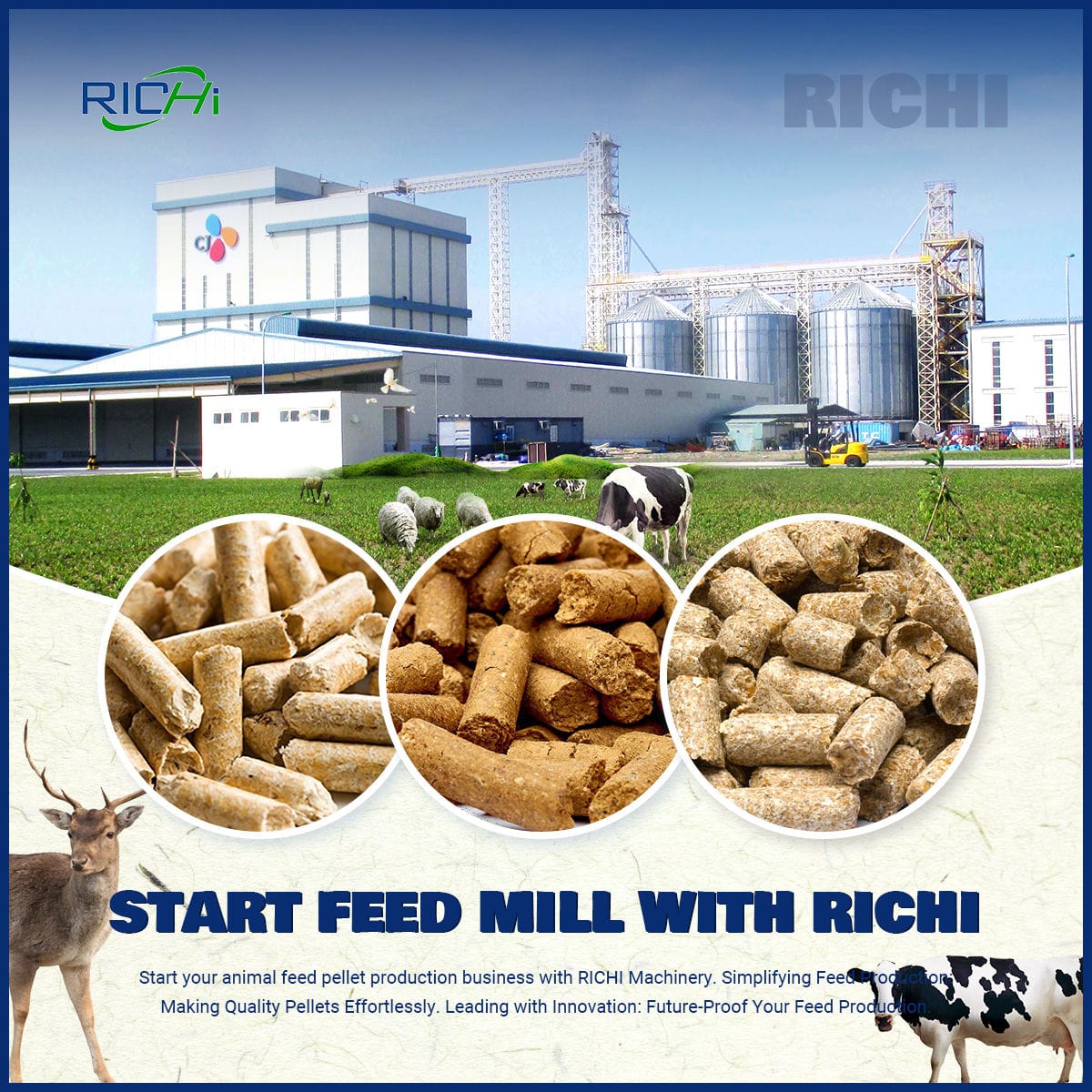 Application of livestock feed pellet machine - livestock feed production line